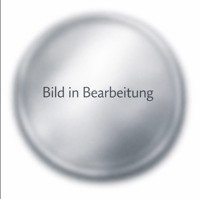 Kein Bild hinterlegt